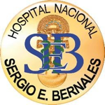 Hospital Sergio E. Bernales