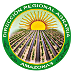 Dirección Regional Agraria Amazonas