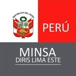 Dirección de Redes Integradas de Salud Lima Este