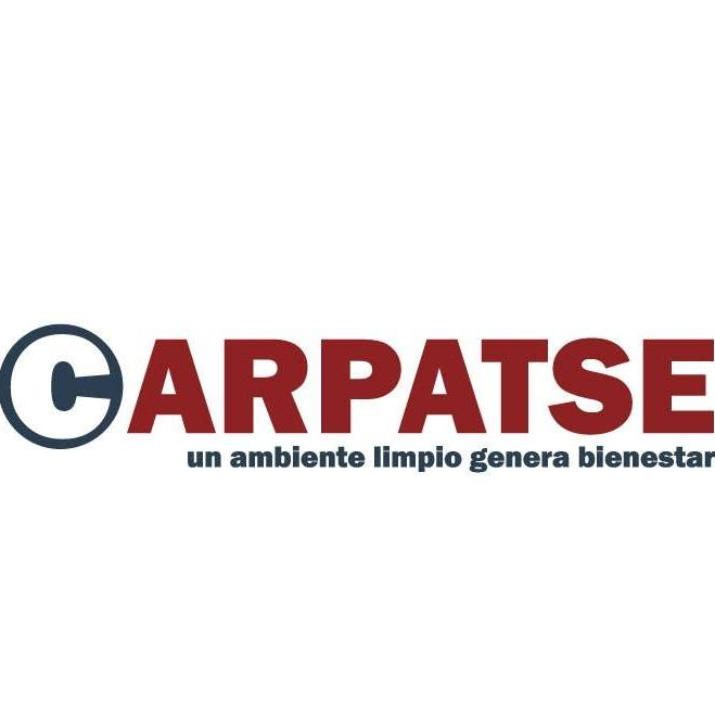 carpatse 