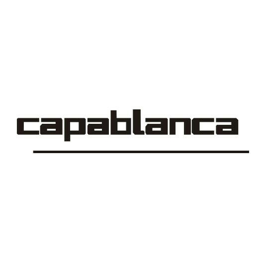 COMERCIAL CAPABLANCA S.A.C 